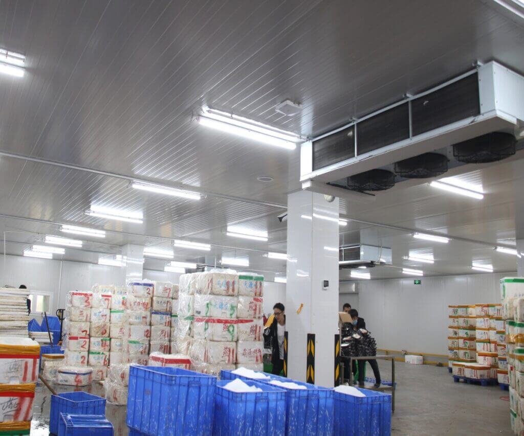 Vegetables Cold Room - Overall refrigeration solutions for food ...