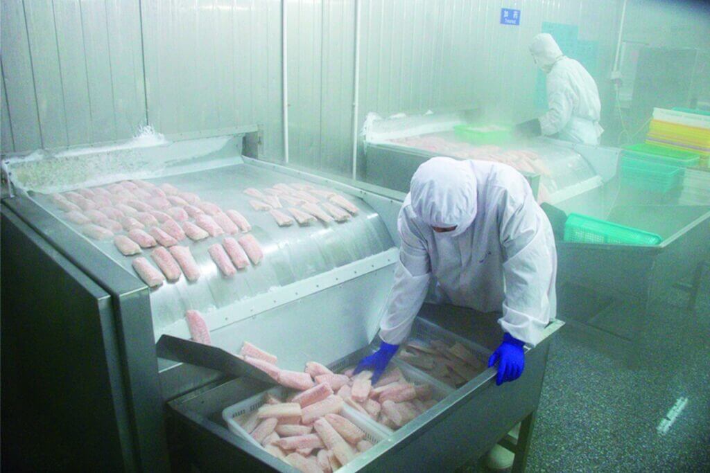 Fish Processing - Overall refrigeration solutions for food processing ...
