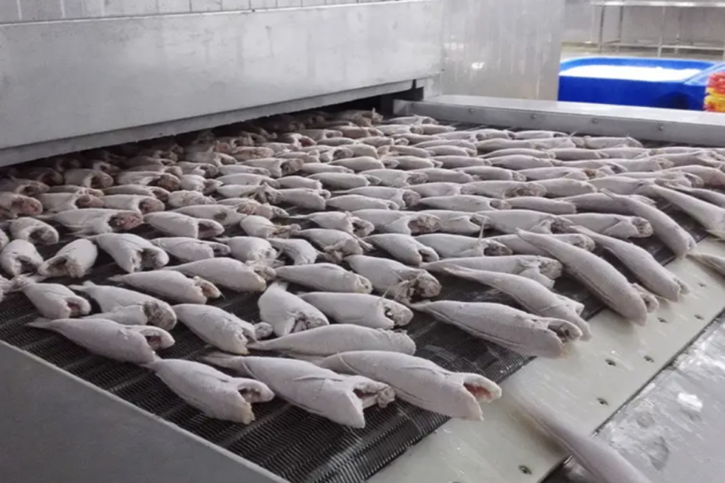 Fish Processing - Overall refrigeration solutions for food processing ...