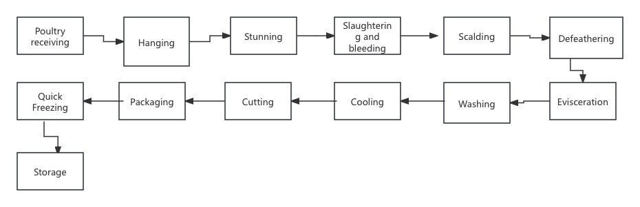 Chicken Processing - Overall refrigeration solutions for food ...