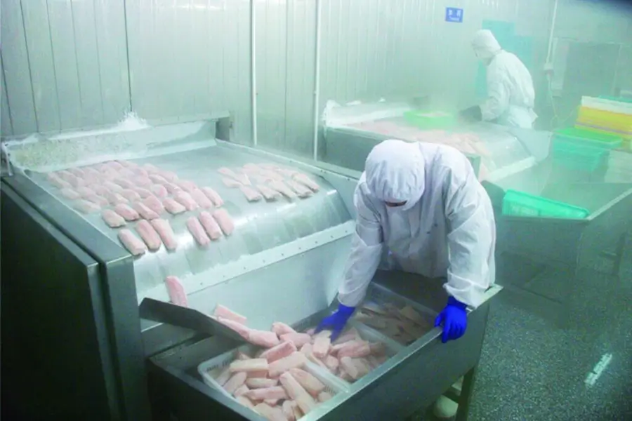 Fish Freezer room