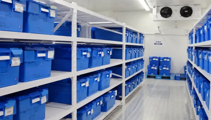 Pharmaceutical Cold Room