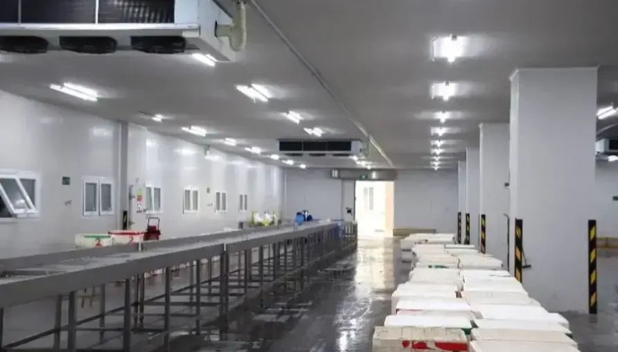 food processing refrigeration